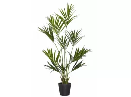 Grote plant huren