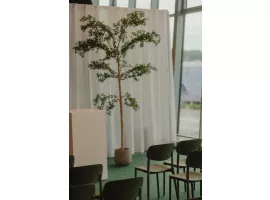 decoratie huren