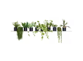 Planten huren
