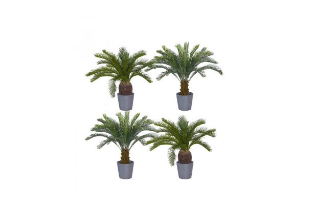 FÆK | Plant Cycas palm - groen - faek - verhuur - evenementen - feest - rental - events - artificieel - artificial 