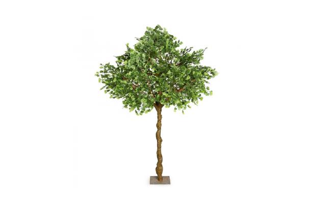 FÆK | Tree Ginkgo green one stem 300 - groen -éénstammig - boom - tree - faek - verhuur - evenementen - feest - rental - events - artificieel - artificial 