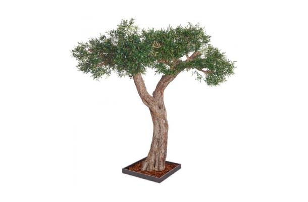 FÆK | Tree Olive tree 320 - olijfboom - groen - boom - tree - faek - verhuur - evenementen - feest - rental - events - artificieel - artificial 
