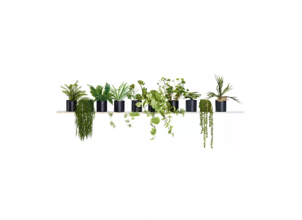 Planten huren