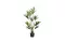 Grote plant huren