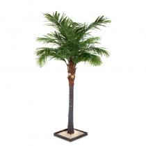 FÆK | Tree Palmtree - palmboom - groen - boom - tree - faek - verhuur - evenementen - feest - rental - events - artificieel - artificial 