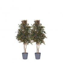 FÆK | Plant Ficus grey - grijs groen - boom - tree - faek - verhuur - evenementen - feest - rental - events - artificieel - artificial 