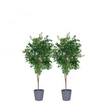 FÆK | Plant Maple green 230 - groene esdoorn - faek - verhuur - evenementen - feest - rental - events - artificieel - artificial 